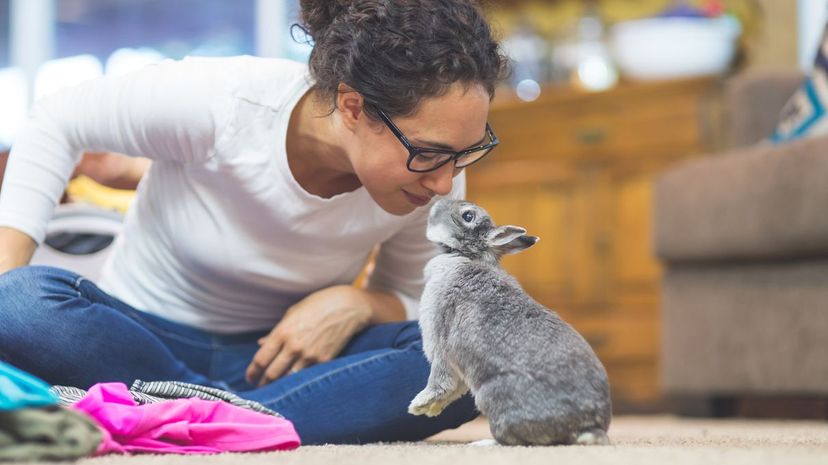 Woman and bet bunny