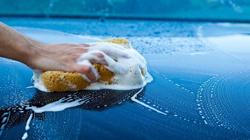 Q18-Hand Car Wash Sponge