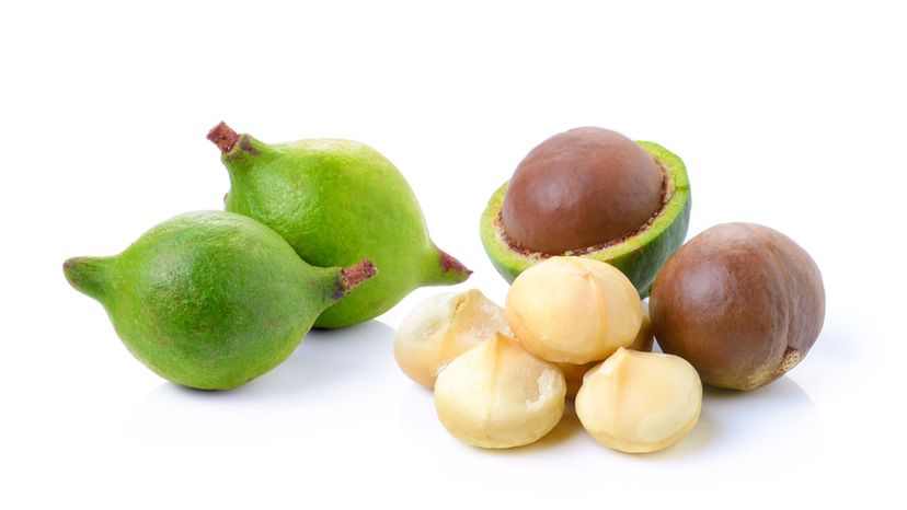 Macadamia Nut