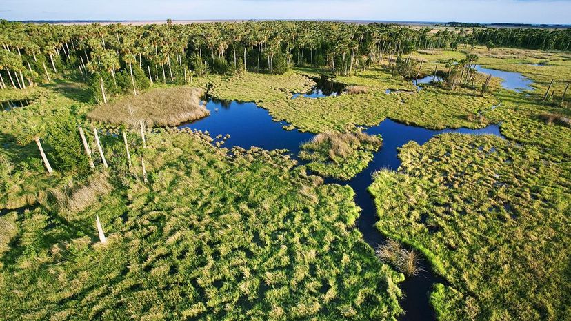 Everglades National Park