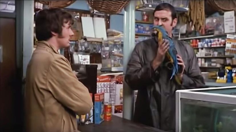 Which “Monty Python” Sketch Is Totally Your Life?