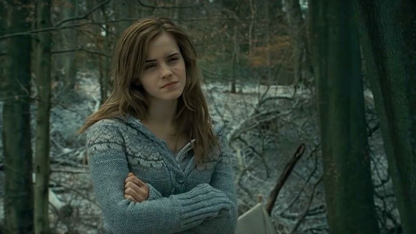 30-Hermione“border=