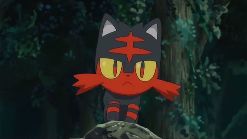 Litten