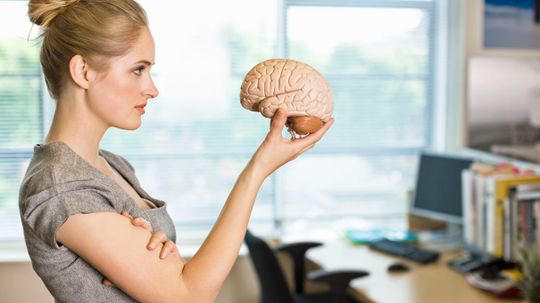 Is Your Brain More Math or English?