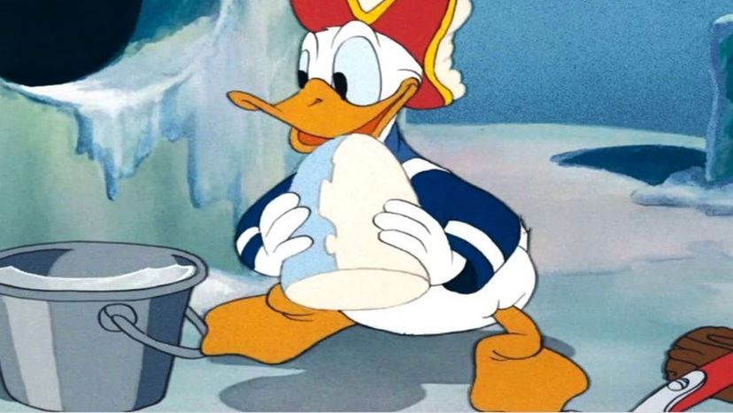 Donald Duck