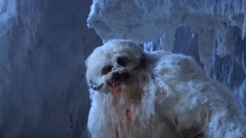 Wampa