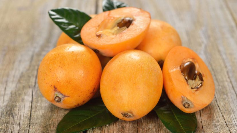 Loquat