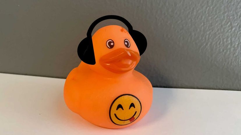 DJ-duck