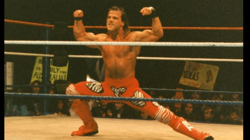 Shawn Michaels