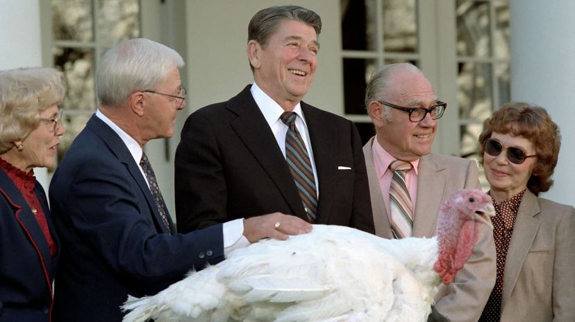 02_turkey pardon