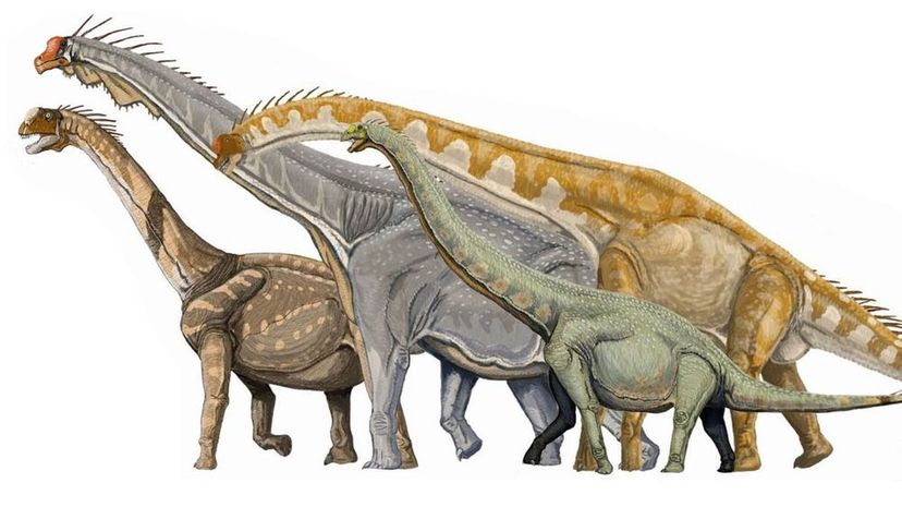 Artist's impression of four macronarian sauropods