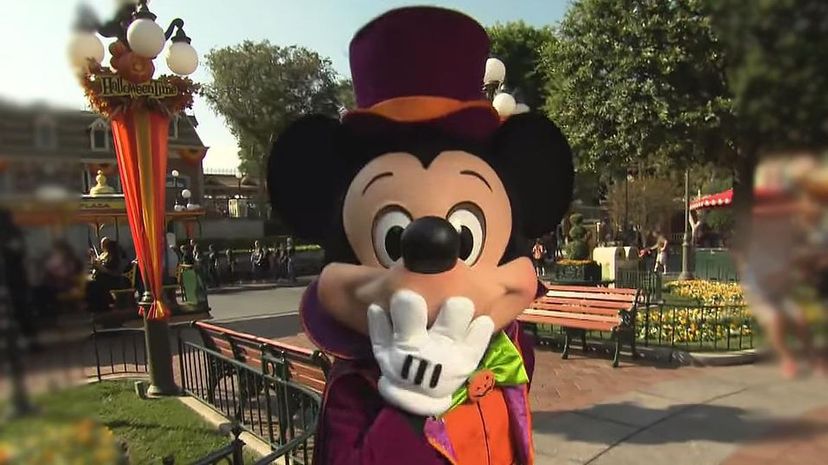 The Unspoken Rules of Disney Theme Parks