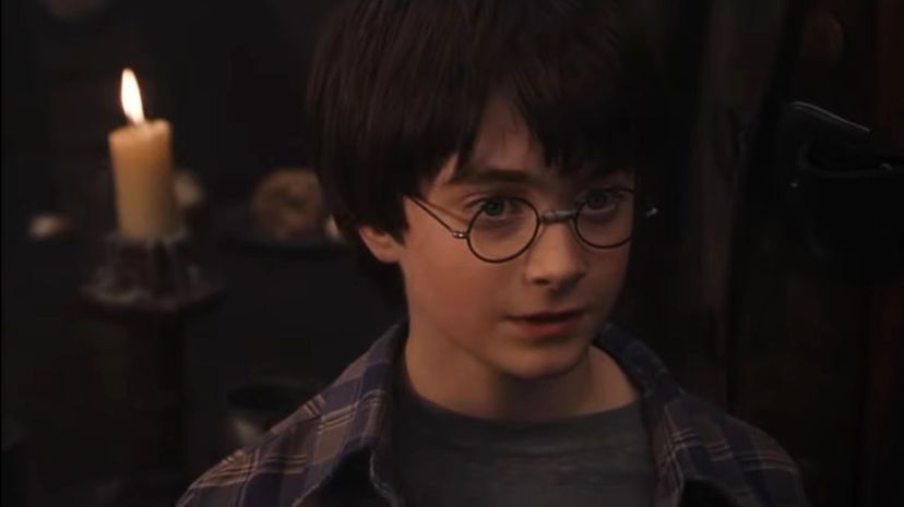 14 Harry Potter birthday