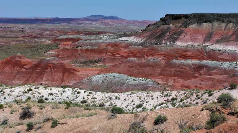 Petrified Forest National Park