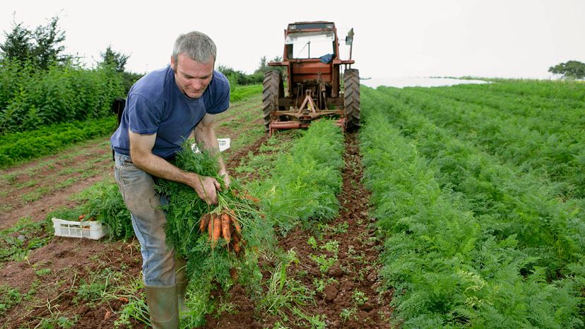 The Farming Quiz