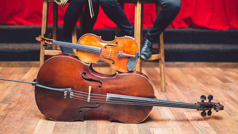 Can You Name All of These Orchestral Instruments?