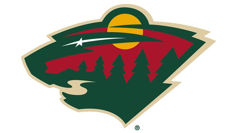 Q 24 Minnesota Wild