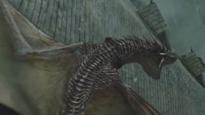 Horntail Dragon