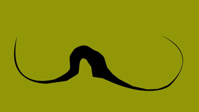 Can You Name the Style of These Movember Mustaches? | HowStuffWorks