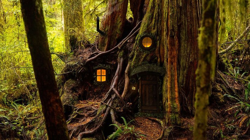 Fairy tree house