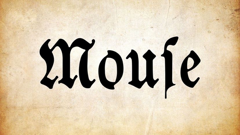 Mouse