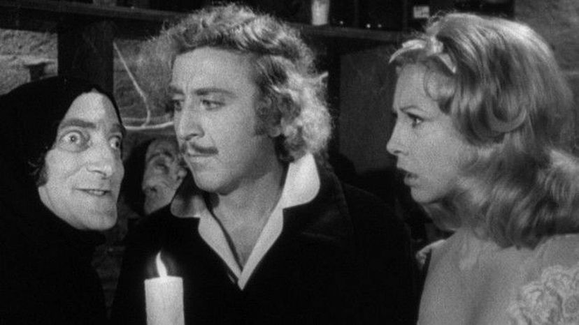 Young Frankenstein