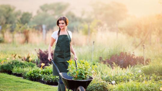 90% of People Don't Know the Meaning of These Gardening Terms. Do You?