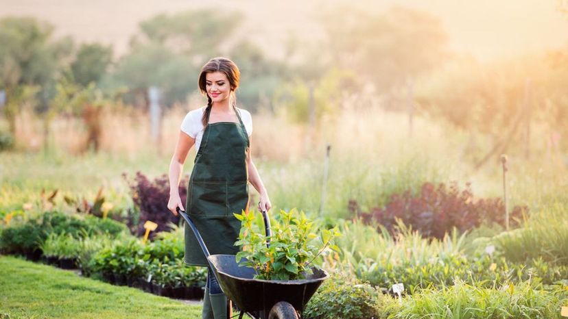 90% of People Don't Know the Meaning of These Gardening Terms. Do You?