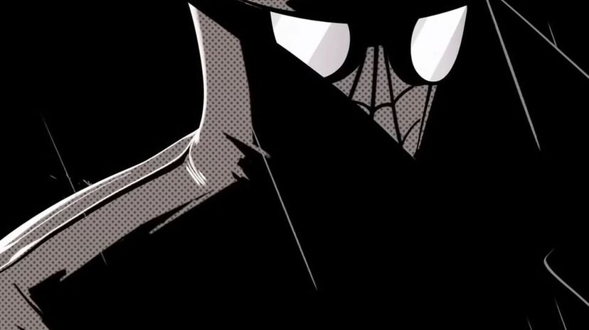 Spider-Man Noir