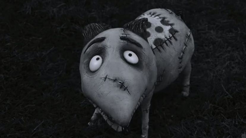 Frankenweenie 2012 - Sparky