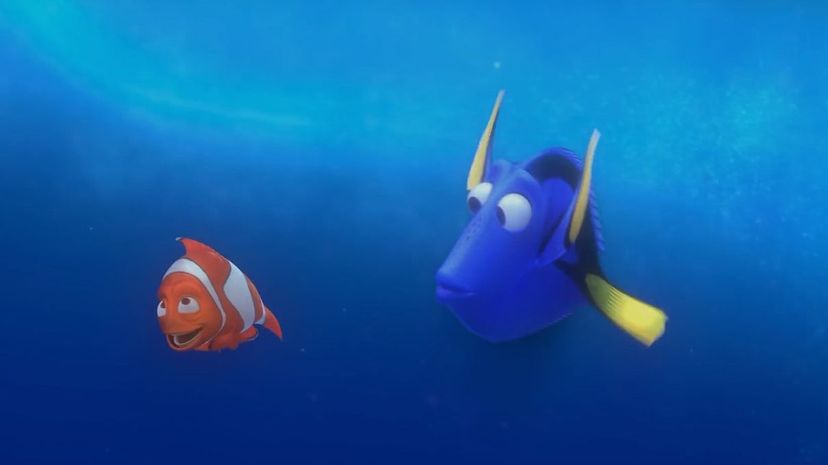 Dory and Marlin1