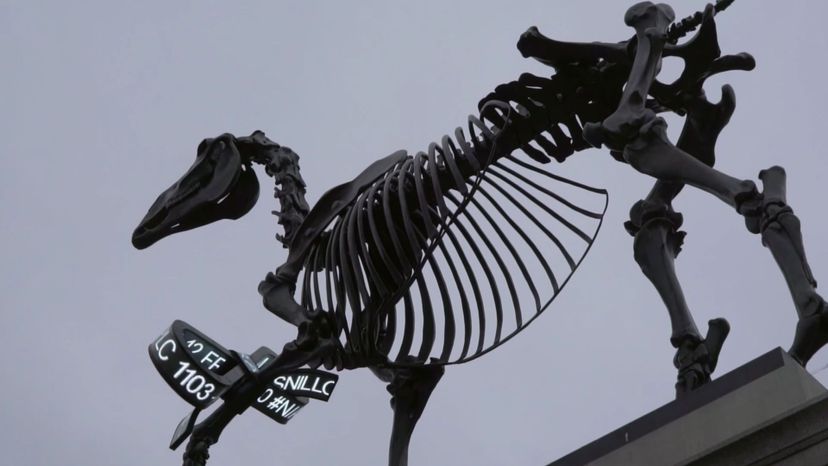 Gift-Horse-on-the-Fourth-Plinth