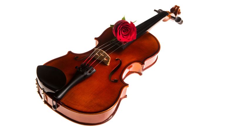 Violin