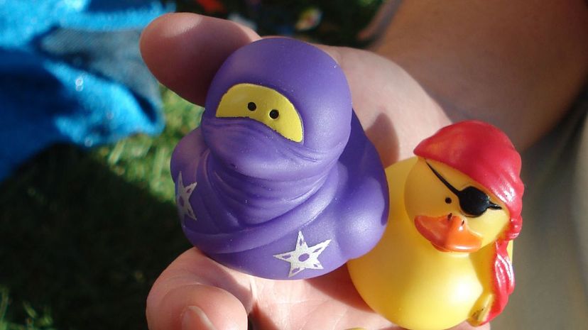 12 - Ninja ducky
