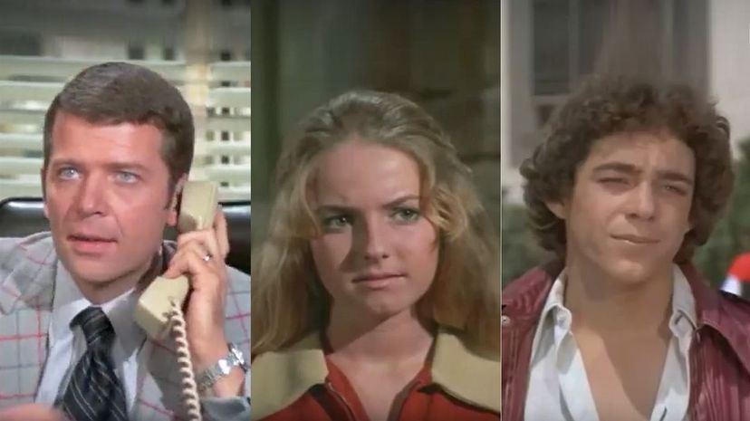 The Brady Bunch Mike Jan Greg