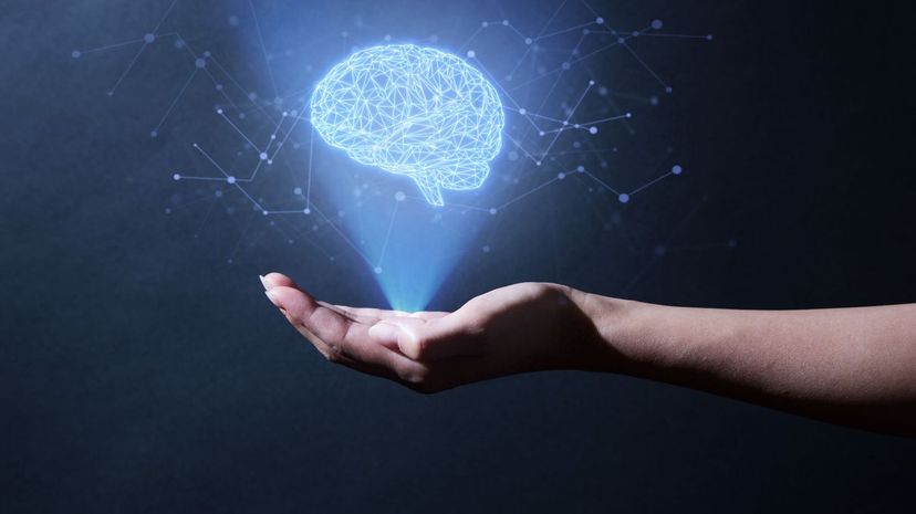 Human brain hologram