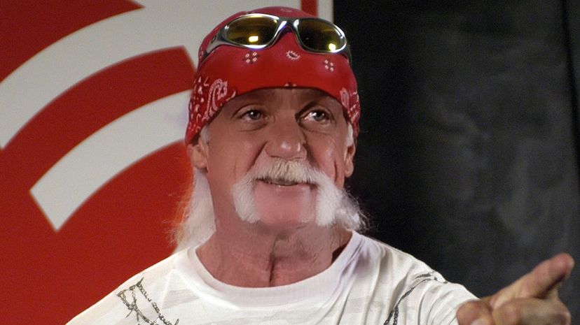 Question 2 - Hulk Hogan