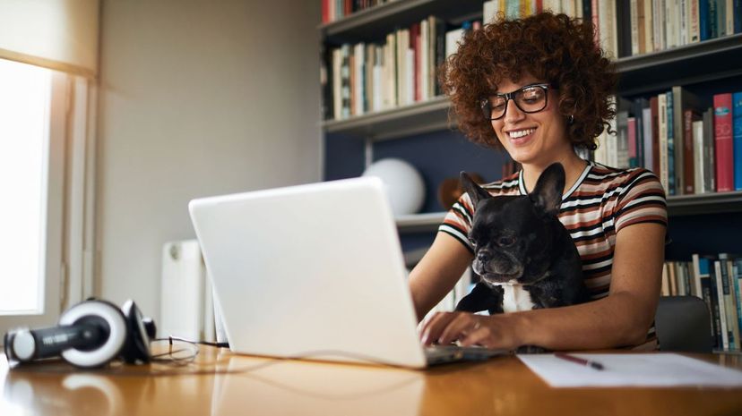 Woman working at home with dog