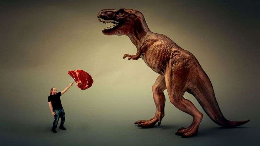 6 dinosaur GettyImages-152316515