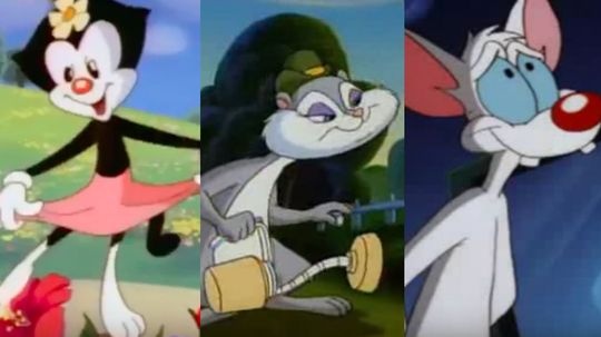 Which Animaniacs character are you?