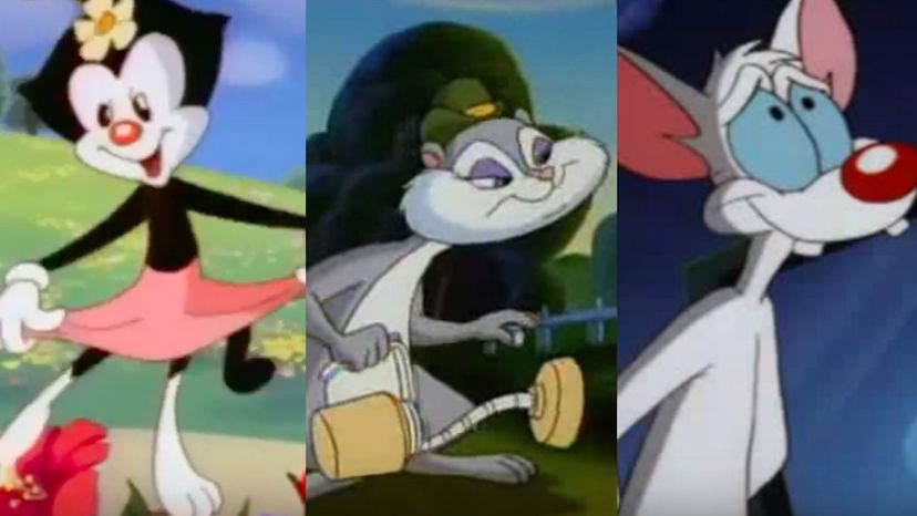 Which Animaniacs character are you?