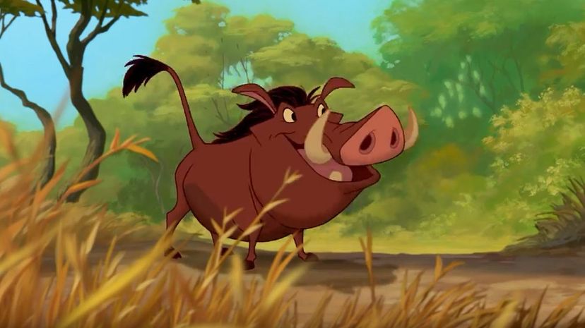 Pumbaa