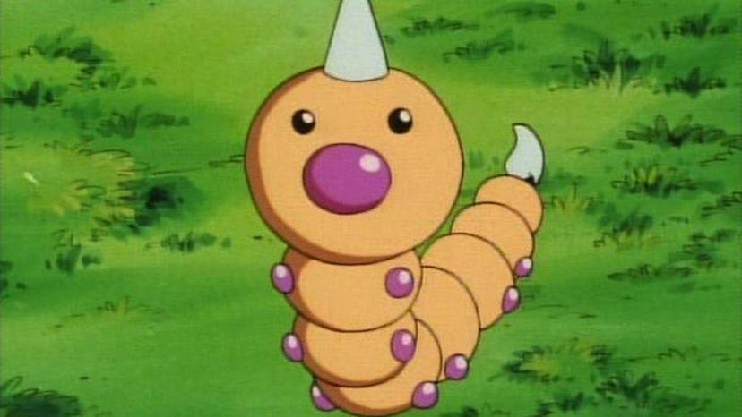 Weedle