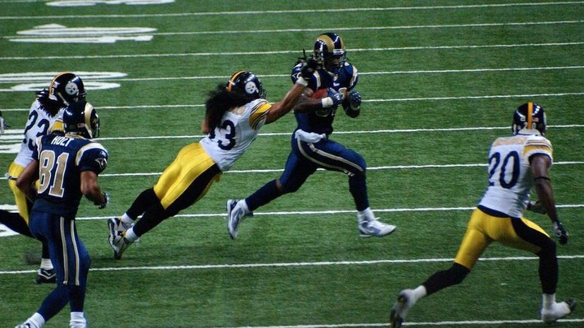 Troy Polamalu