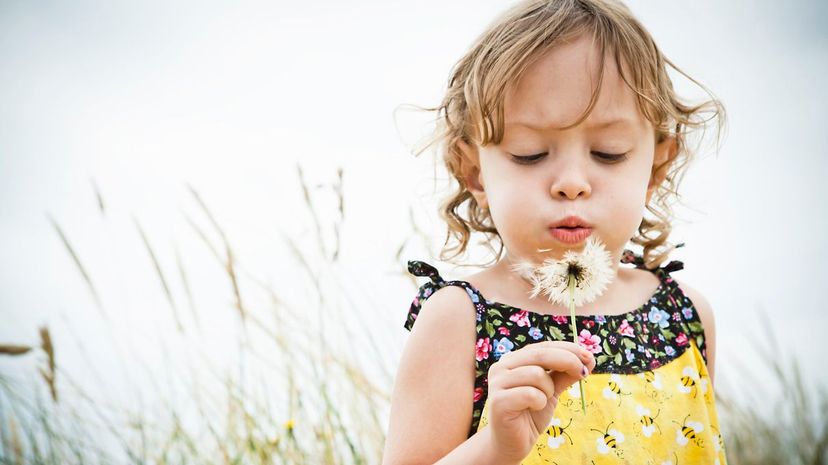 There Are Three Types of Toddlers, Which Do You Have?