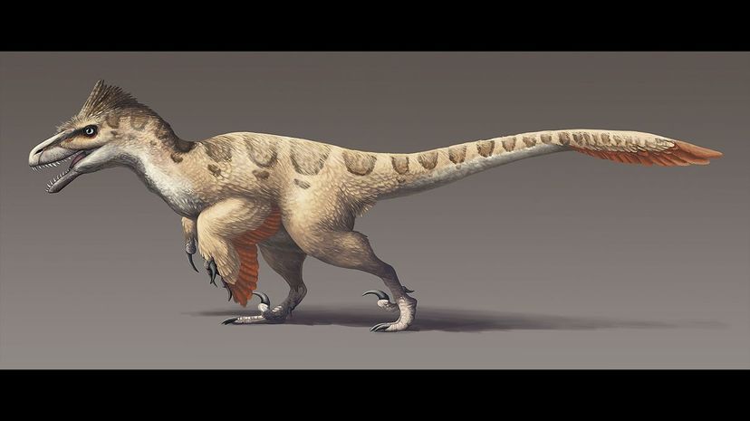 Utahraptor