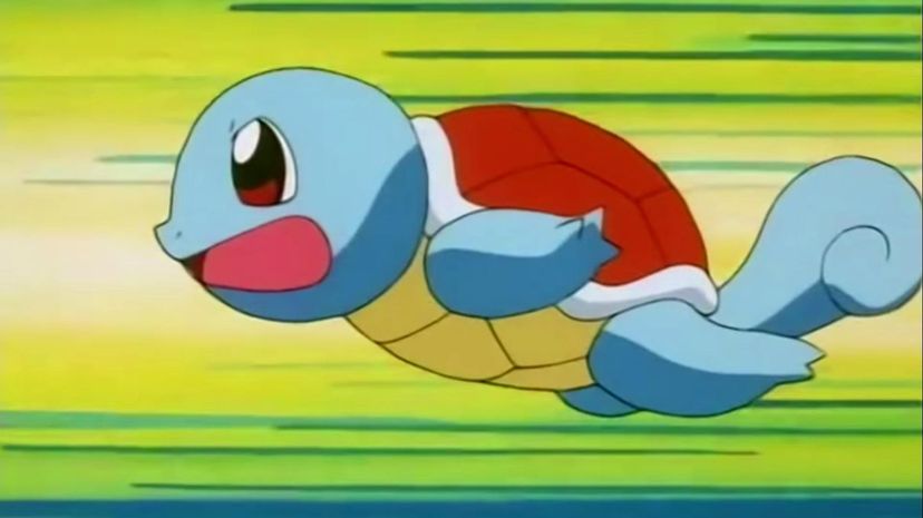 12 - Squirtle