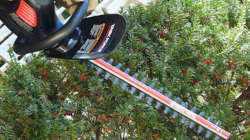 Hedge Trimmer