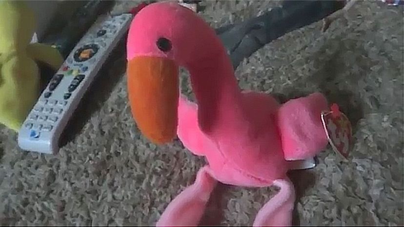 Pinky the flamingo