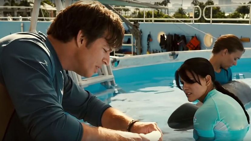 Question 21 - Dolphin Tale